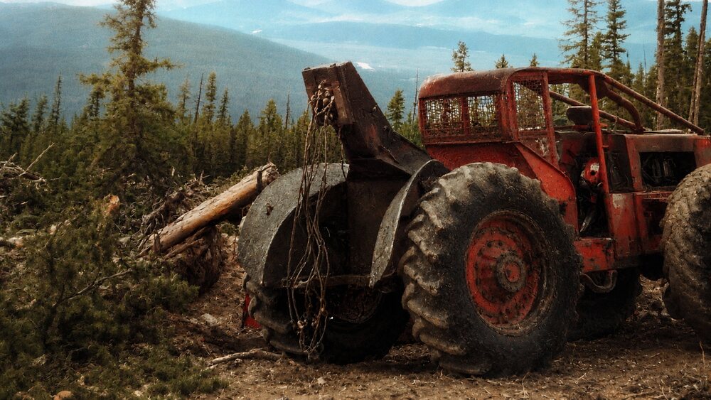 Family background photograph showing timber equipment and cut logs in a wooded setting.