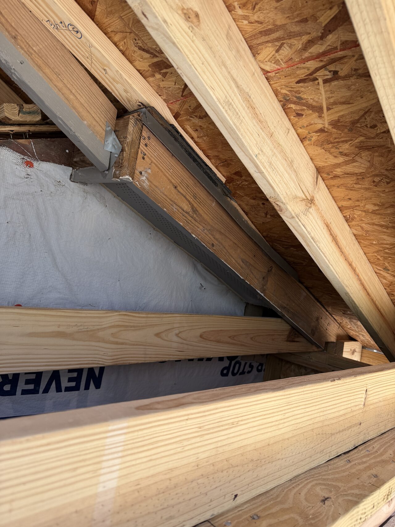 Underside roof framing and weather barrier reviewed where the wall meets the eave for a Joel Hodge project.